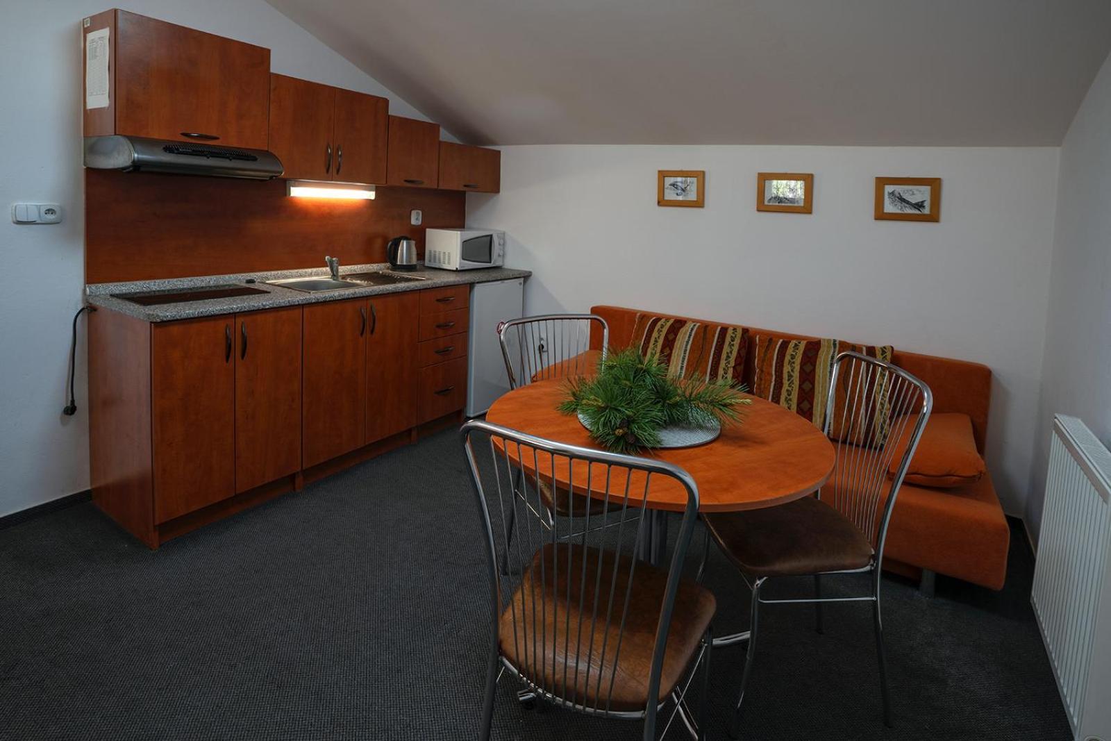 Studia Sprava Tanapu Apartment Štrbské Pleso Exterior foto